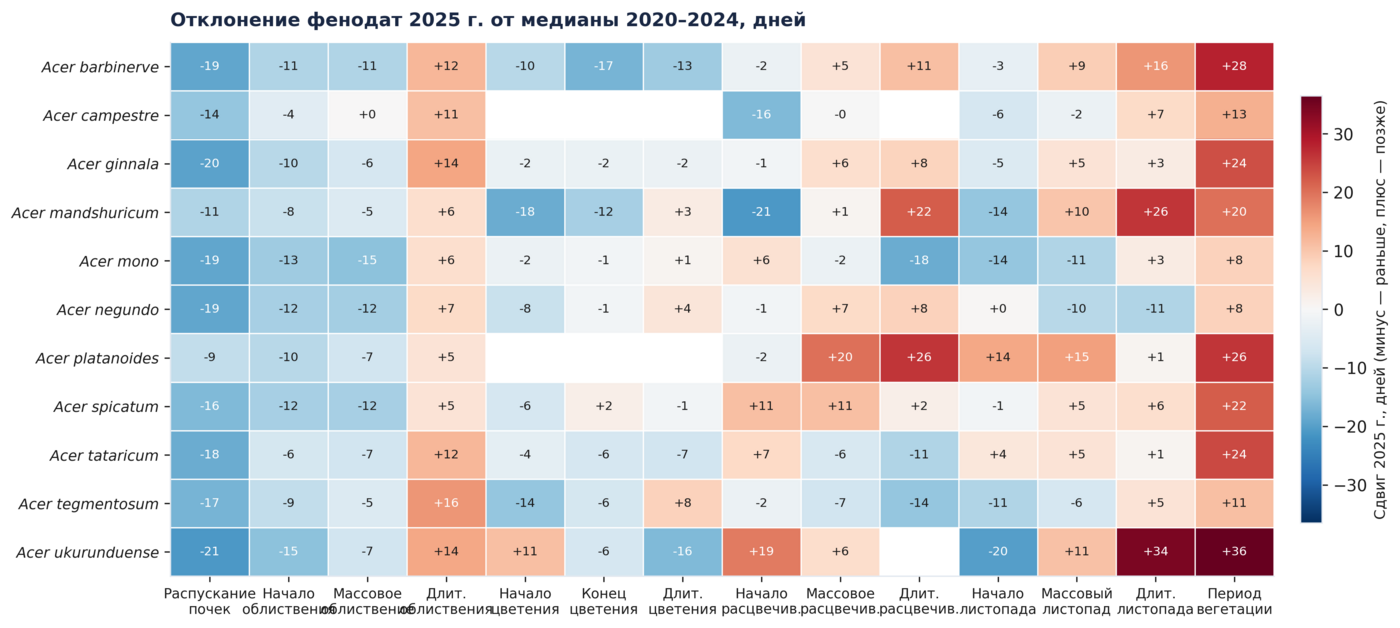 Отклонение фенодат 2025, 11 видов Acer, ЦСБС